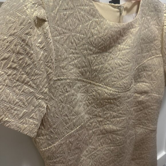 Loft Metallic Brocade Short Sleeve Mini Dress - Picture 3 of 5